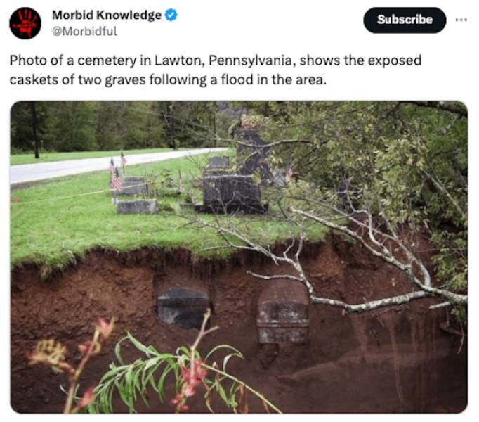 Unsettling Realities: Facts That Leave A Lasting Impression