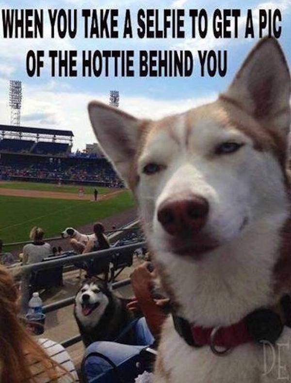 dirty minds only 46 pics 1 gif 15.html - 46 HD GIF | Premium Gallery 2024