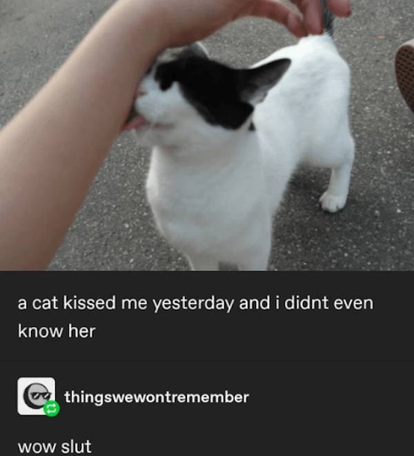 dirty minds only 46 pics 1 gif 15.html - 46 HD GIF | Premium Gallery 2024