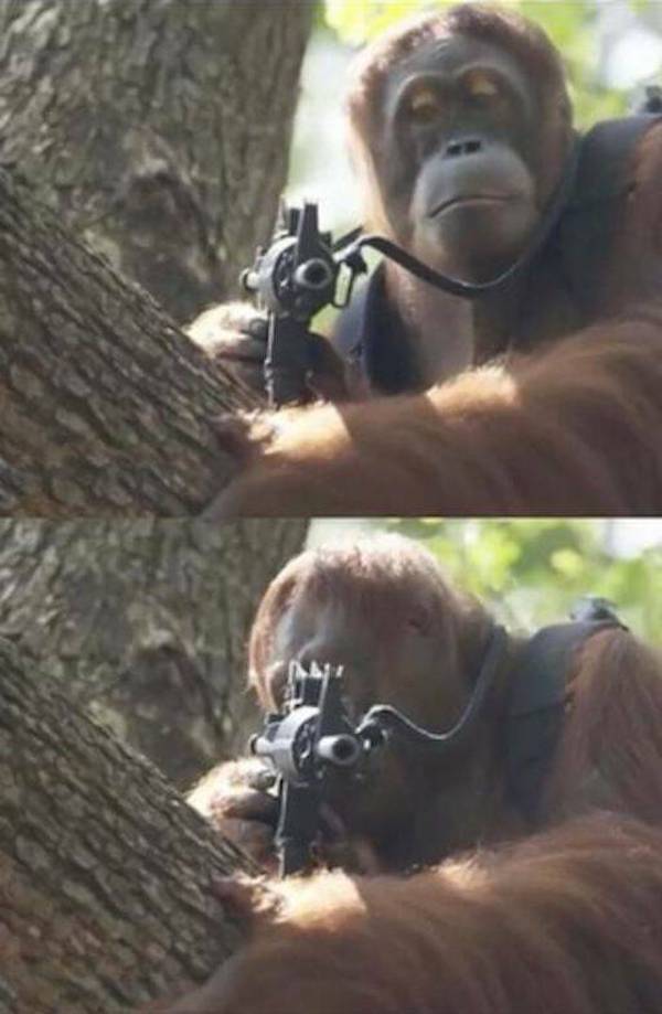 dirty minds only 46 pics 1 gif 15.html - 46 HD GIF | Premium Gallery 2024