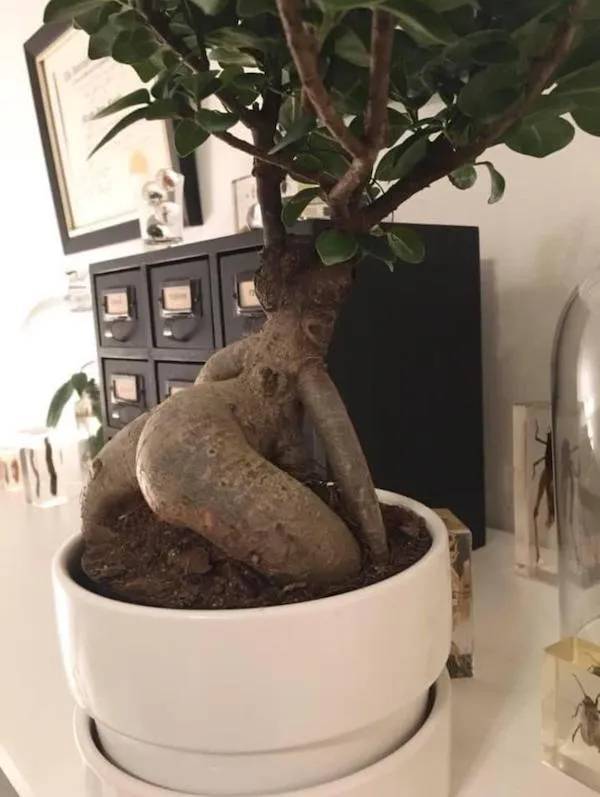 nsfw memes for grownups 34 pics 14.html - 34 HD Photos | Premium Gallery 2024