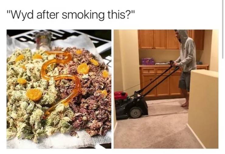 These Memes Are Already Stoned
