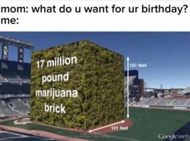 These Memes Are Already Stoned