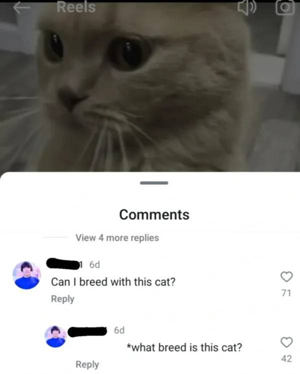 hold on a second 48 pics 6.html - 48 HD Photos | Premium Gallery 2024