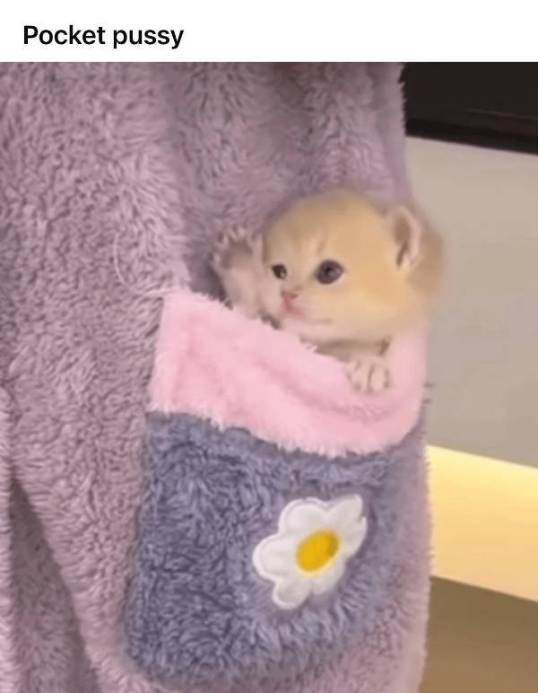 hold on a second 48 pics 6.html - 48 HD Photos | Premium Gallery 2024