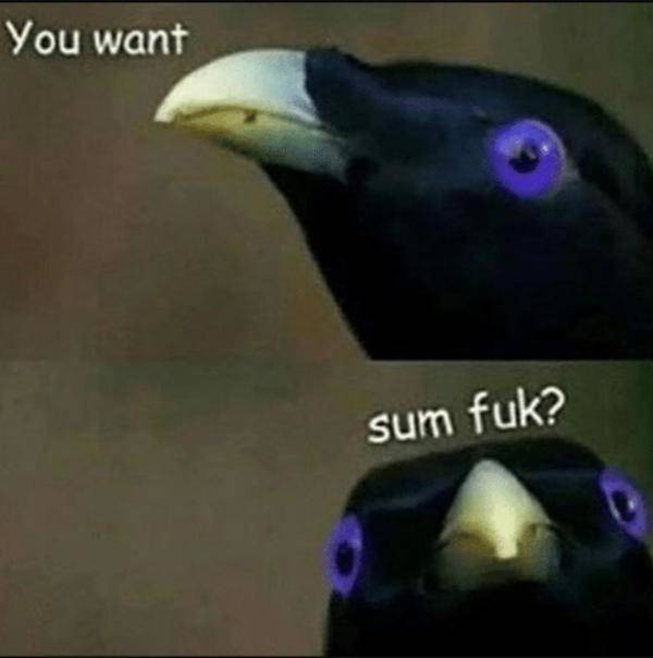 Flirty Memes To Spice Up Your Messages