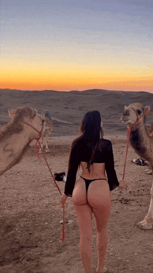 hot girls are here for you 42 gifs 6.html - 1 HD GIF | Premium Gallery 2024