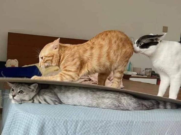 dirty minds only 48 pics 2.html - 48 HD Photos | Premium Gallery 2024