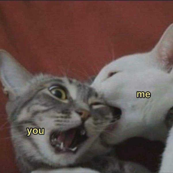 Flirty Memes To Spice Up Your Messages