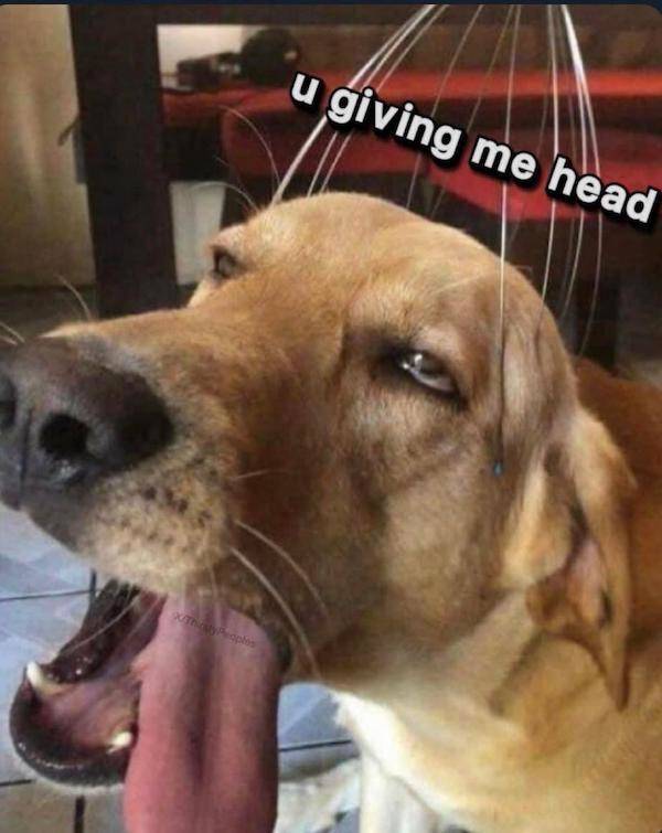 Flirty Memes To Spice Up Your Messages