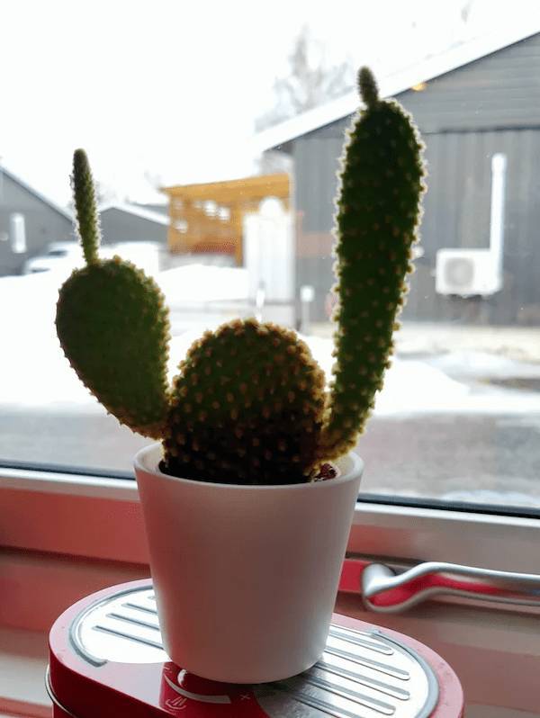 dirty minds only 49 pics 3 gifs 2.html - 49 HD GIF | Premium Gallery 2024