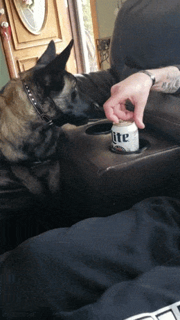 drinking time 42 pics 6 gifs 24.html - 42 HD GIF | Premium Gallery 2024