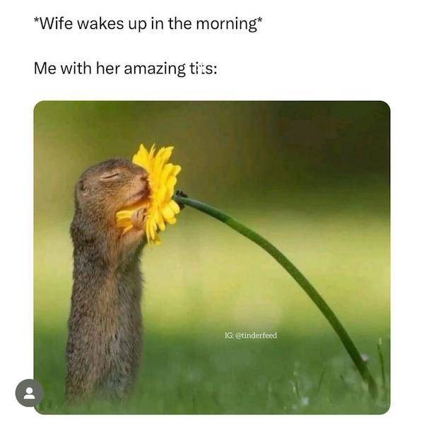 nsfw memes to add some spice to your life 72 pics 31.html - 72 HD Photos | Premium Gallery 2024