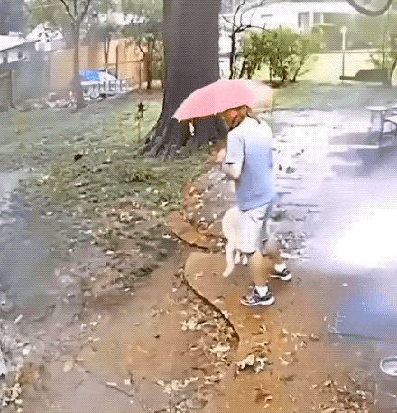 almost dead 32 gifs 2.html - 1 HD GIF | Premium Gallery 2024