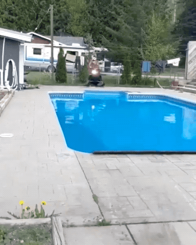 almost dead 32 gifs 2.html - 1 HD GIF | Premium Gallery 2024