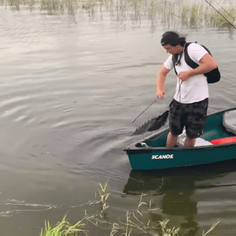 almost dead 32 gifs 2.html - 1 HD GIF | Premium Gallery 2024