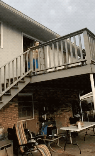 almost dead 32 gifs 2.html - 1 HD GIF | Premium Gallery 2024