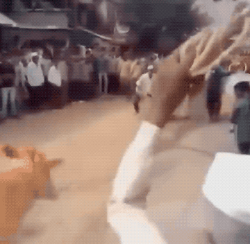 almost dead 32 gifs 2.html - 1 HD GIF | Premium Gallery 2024