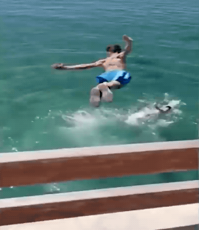 almost dead 32 gifs 2.html - 1 HD GIF | Premium Gallery 2024