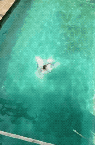 Sexy Girls Are Waiting For You!