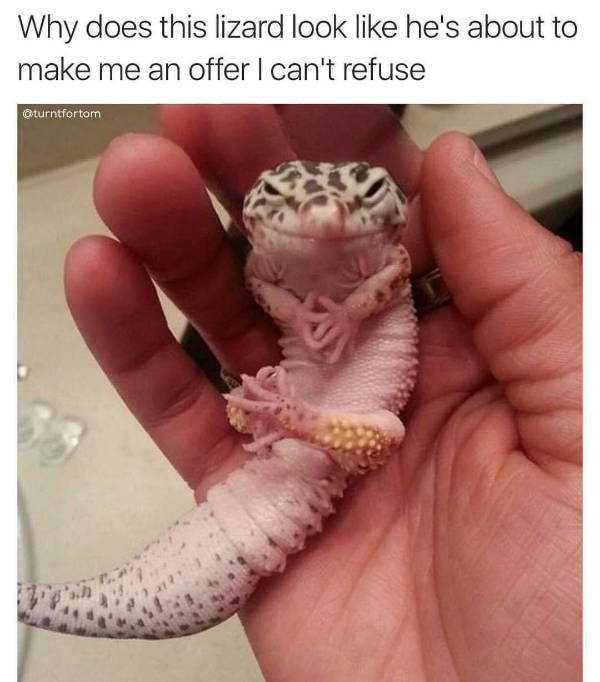 Hold On A Damn Minute!