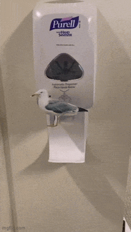 dirty mind come here 39 pics 2 gifs 2.html - 39 HD GIF | Premium Gallery 2024