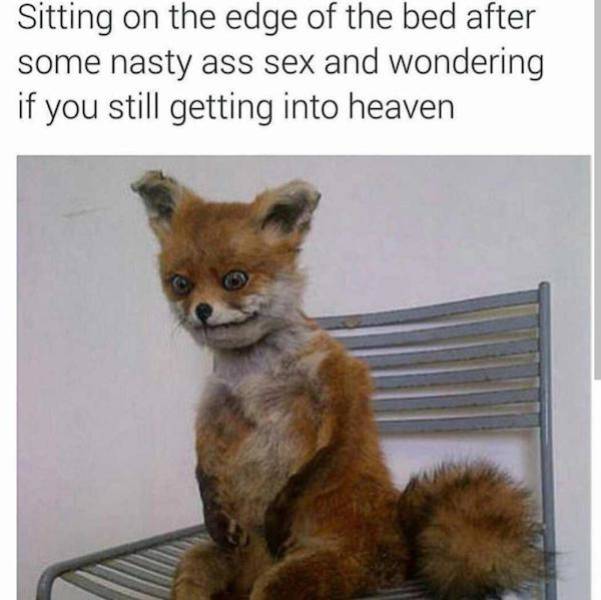 nsfw memes for grownups 33 pics 3.html - 33 HD Photos | Premium Gallery 2024