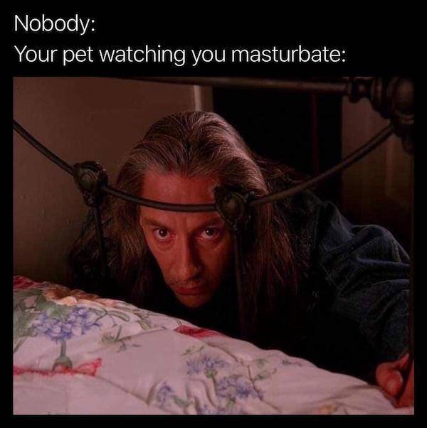 nsfw memes for grownups 33 pics 3.html - 33 HD Photos | Premium Gallery 2024