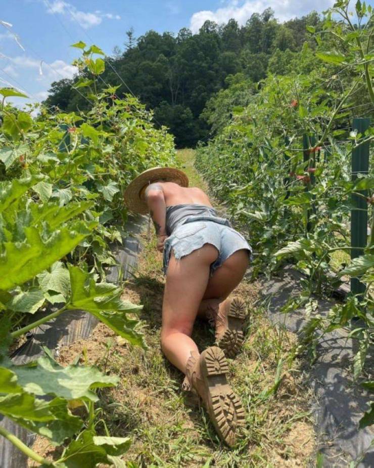 grownup corner 54 pics 12.html - 54 HD Photos | Premium Gallery 2024
