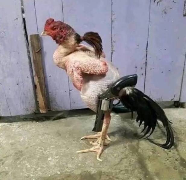 dirty minds are welcome 41 pics 7.html - 41 HD Photos | Premium Gallery 2024