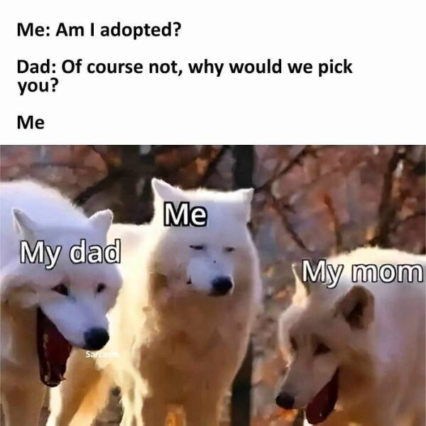 dirty minds are welcome 41 pics 7.html - 41 HD Photos | Premium Gallery 2024