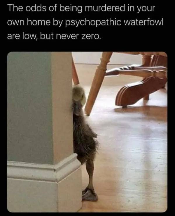 dirty minds are welcome 37 pics 1 gif 4.html - 37 HD GIF | Premium Gallery 2024