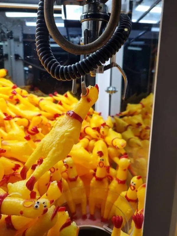 dirty minds are welcome 37 pics 1 gif 4.html - 37 HD GIF | Premium Gallery 2024