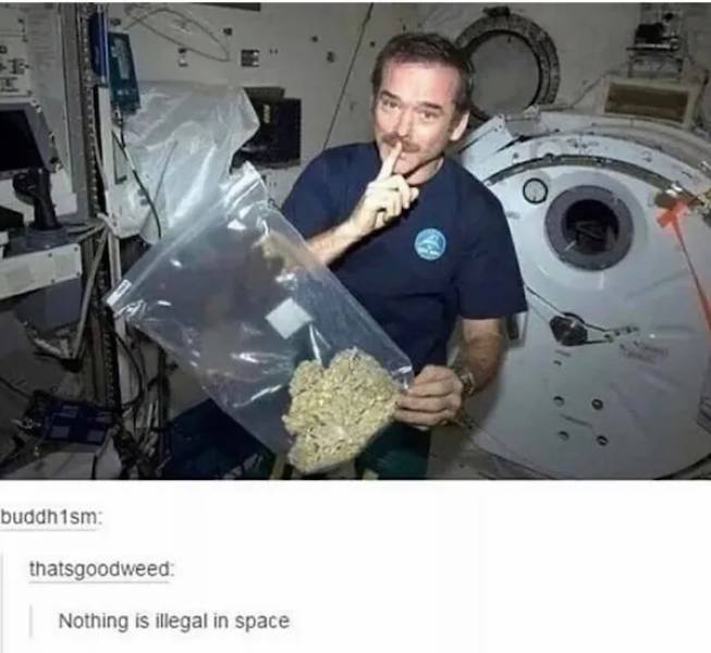 These Memes Are Already Stoned