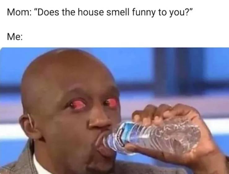 These Memes Are Already Stoned