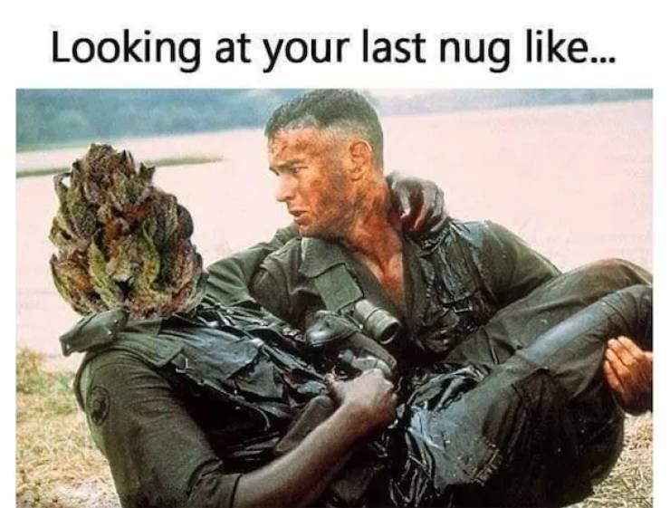 These Memes Are Already Stoned