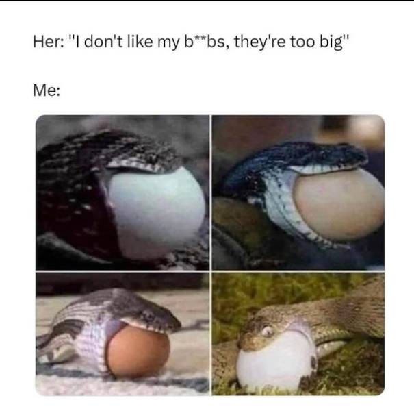 nsfw memes to add some spice to your life 45 pics 21.html - 45 HD Photos | Premium Gallery 2024