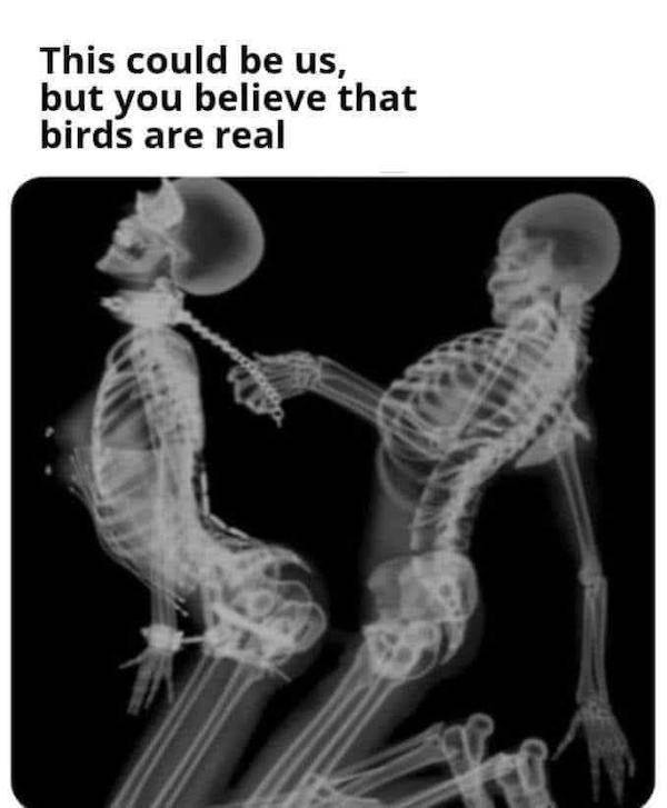 nsfw memes to add some spice to your life 45 pics 21.html - 45 HD Photos | Premium Gallery 2024