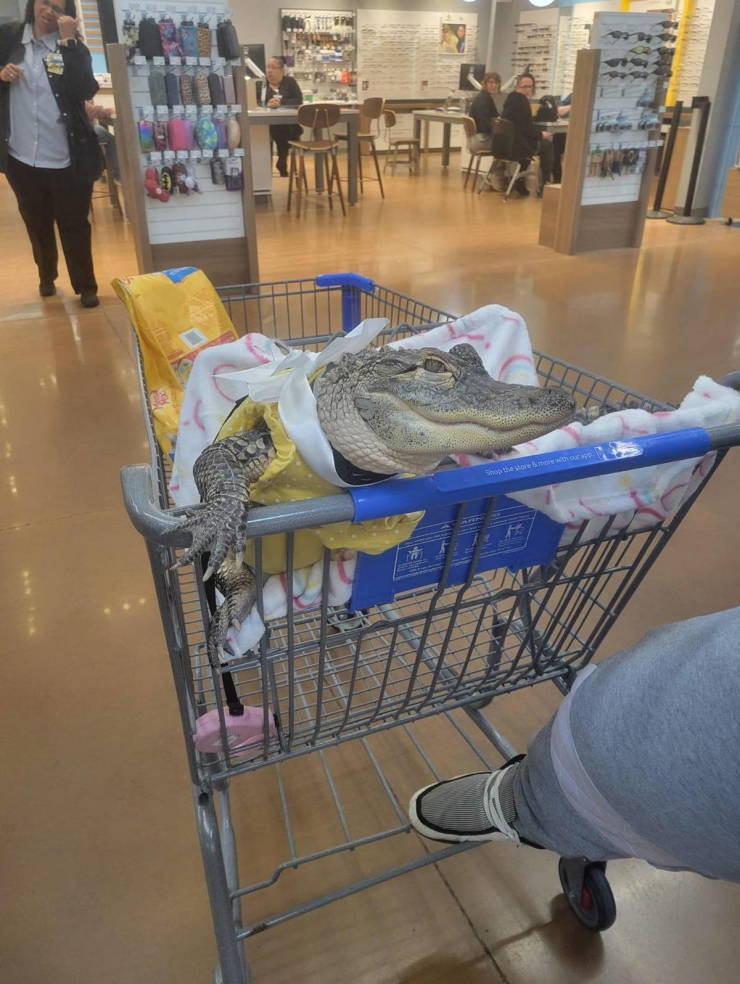 walmart customers are wild 26 pics 5 gifs 5.html - 26 HD GIF | Premium Gallery 2024