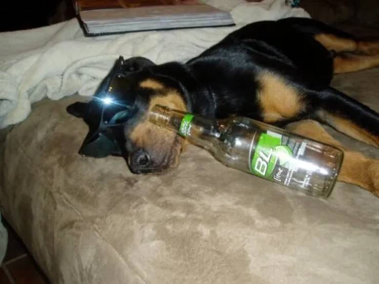 drinking time 45 pics 2 gifs 37.html - 45 HD GIF | Premium Gallery 2024