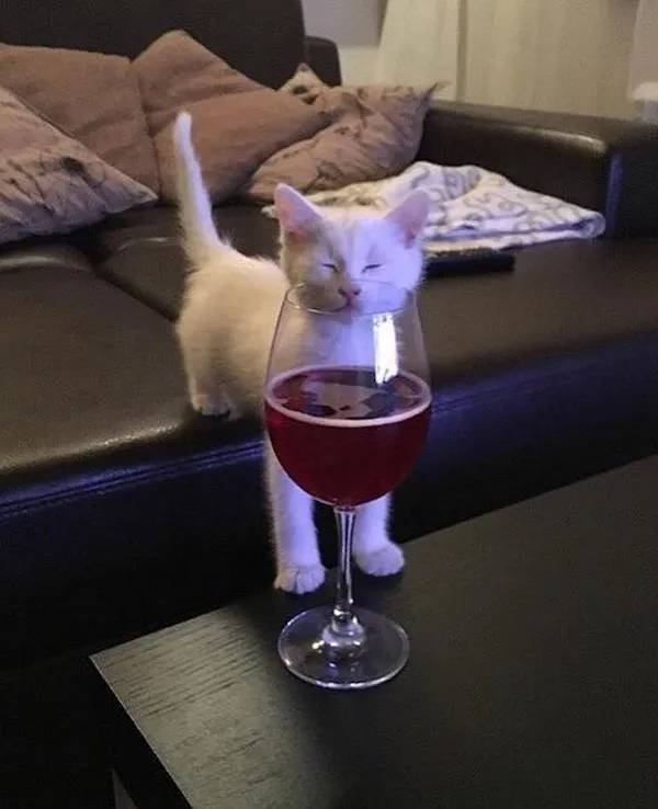 drinking time 45 pics 2 gifs 37.html - 45 HD GIF | Premium Gallery 2024