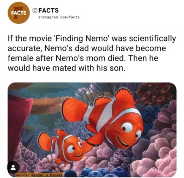 Hold On A Damn Minute!