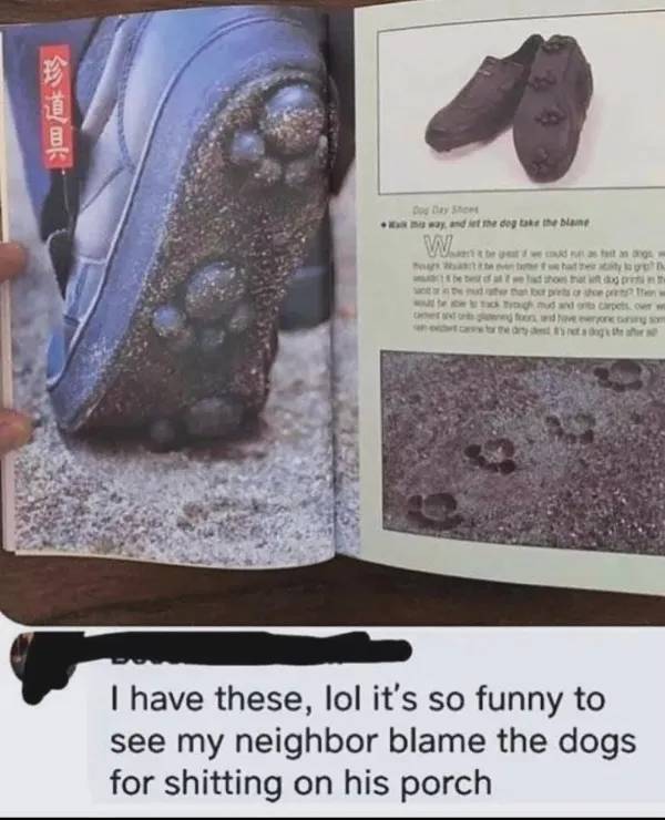 Hold On A Damn Minute!