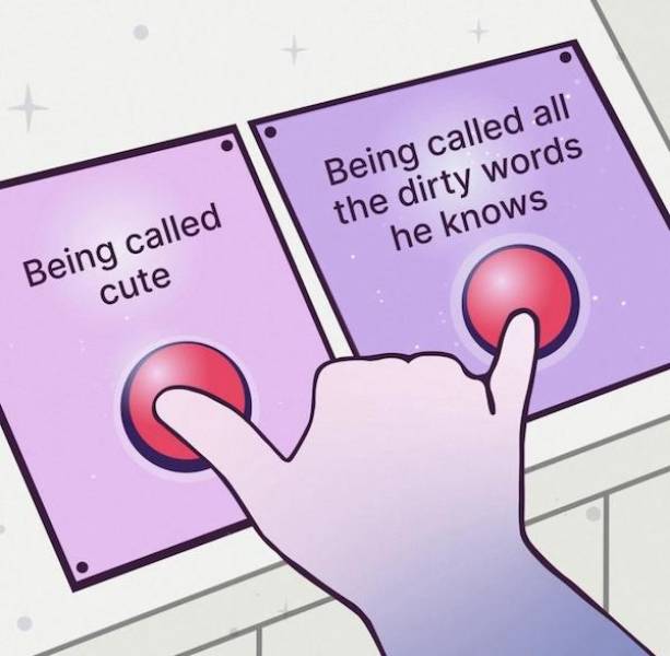 Flirty Memes To Spice Up Your Messages