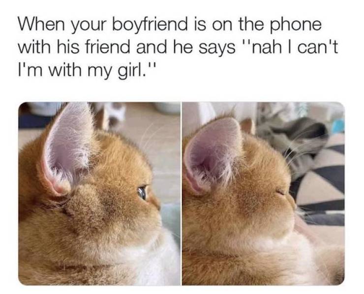 Flirty Memes To Spice Up Your Messages