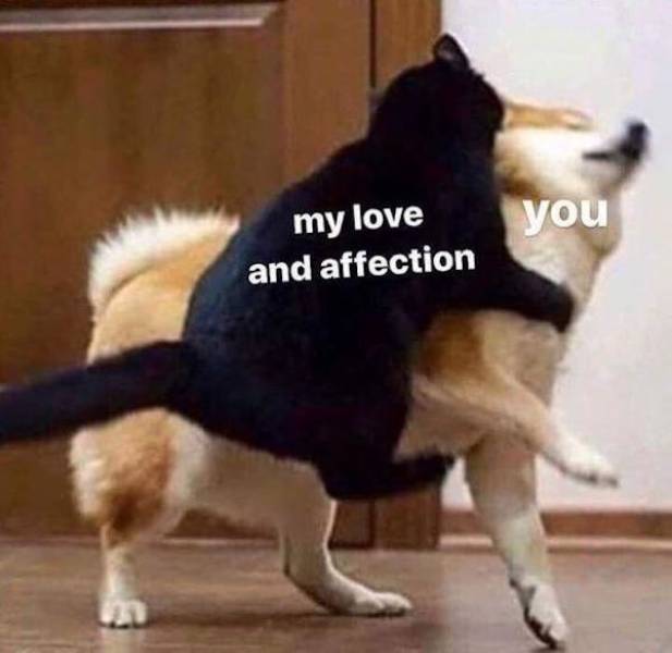 Flirty Memes To Spice Up Your Messages