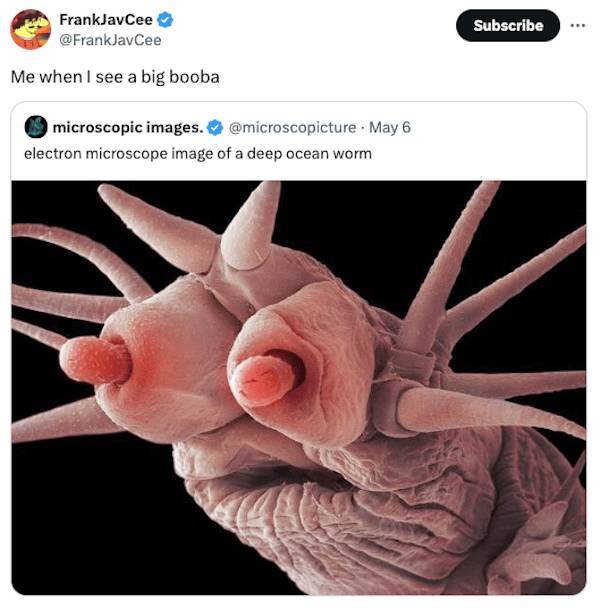 Dirty Minds Are Welcome!