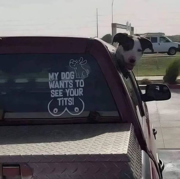 Dirty Mind, Come Here!