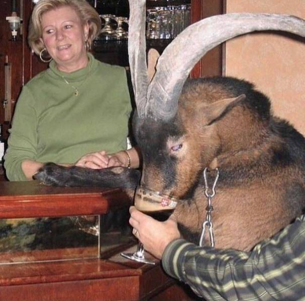 drinking never ends 39 pics 2 gifs 32.html - 39 HD GIF | Premium Gallery 2024