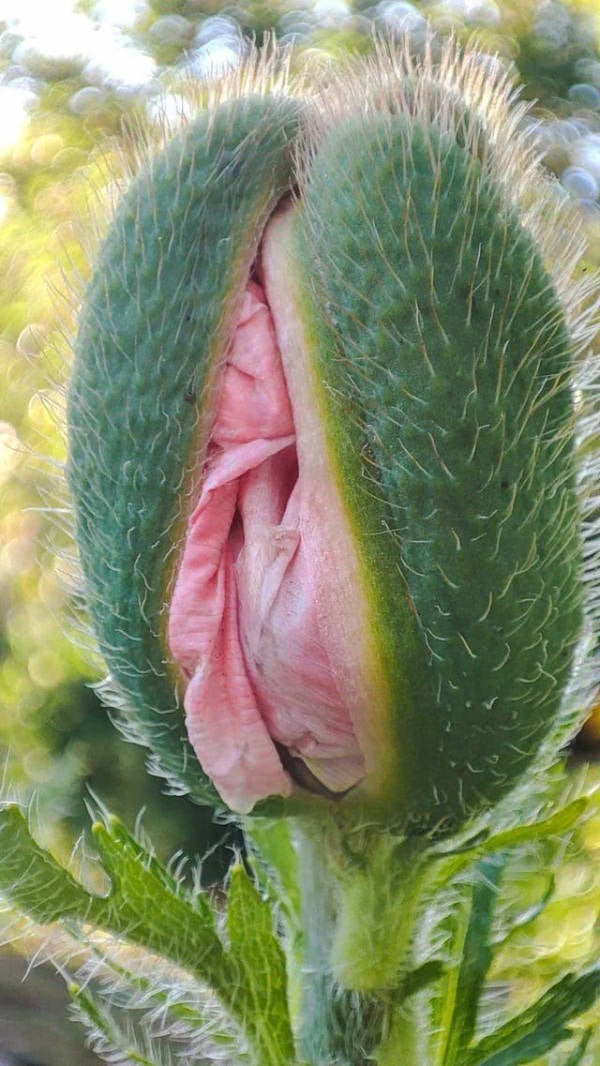 Hold On A Damn Minute!